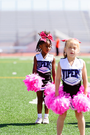 Vipers-Cheer_10-22-16-14
