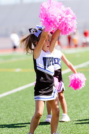 Vipers-Cheer_10-22-16-3