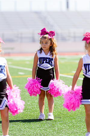 Vipers-Cheer_10-22-16-13