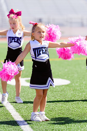 Vipers-Cheer_10-22-16-8