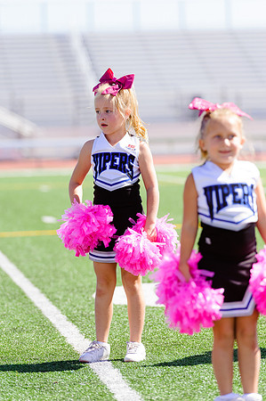 Vipers-Cheer_10-22-16-12
